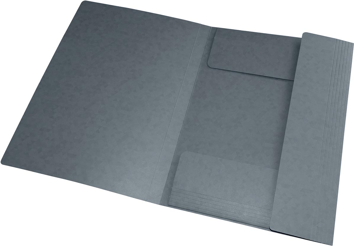 Oxford Top File+ elastomap, voor ft A4, grijs