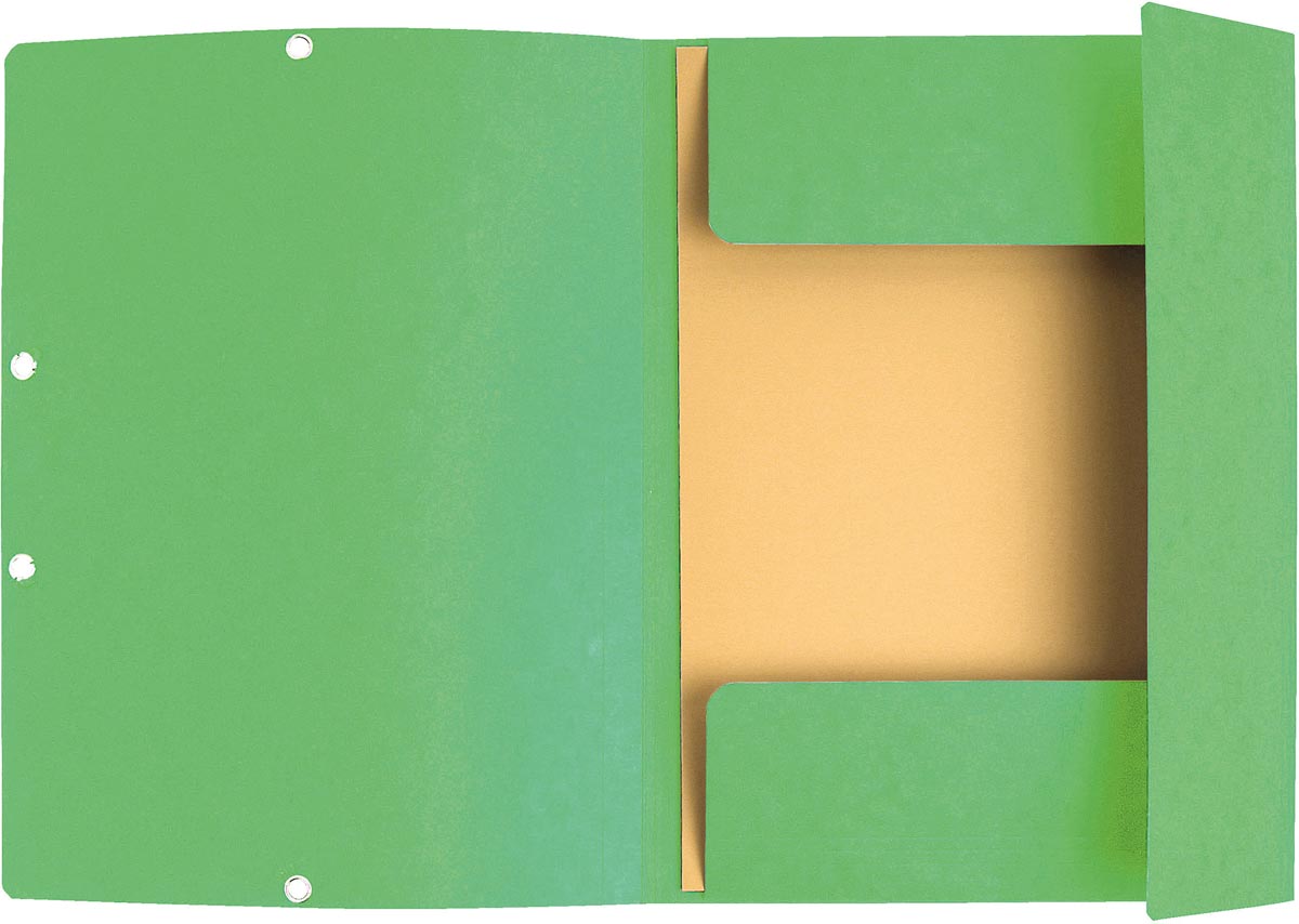 Exacompta elastomap uit karton A4 formaat 3 kleppen elastosluiting set van 3 groen ecologisch