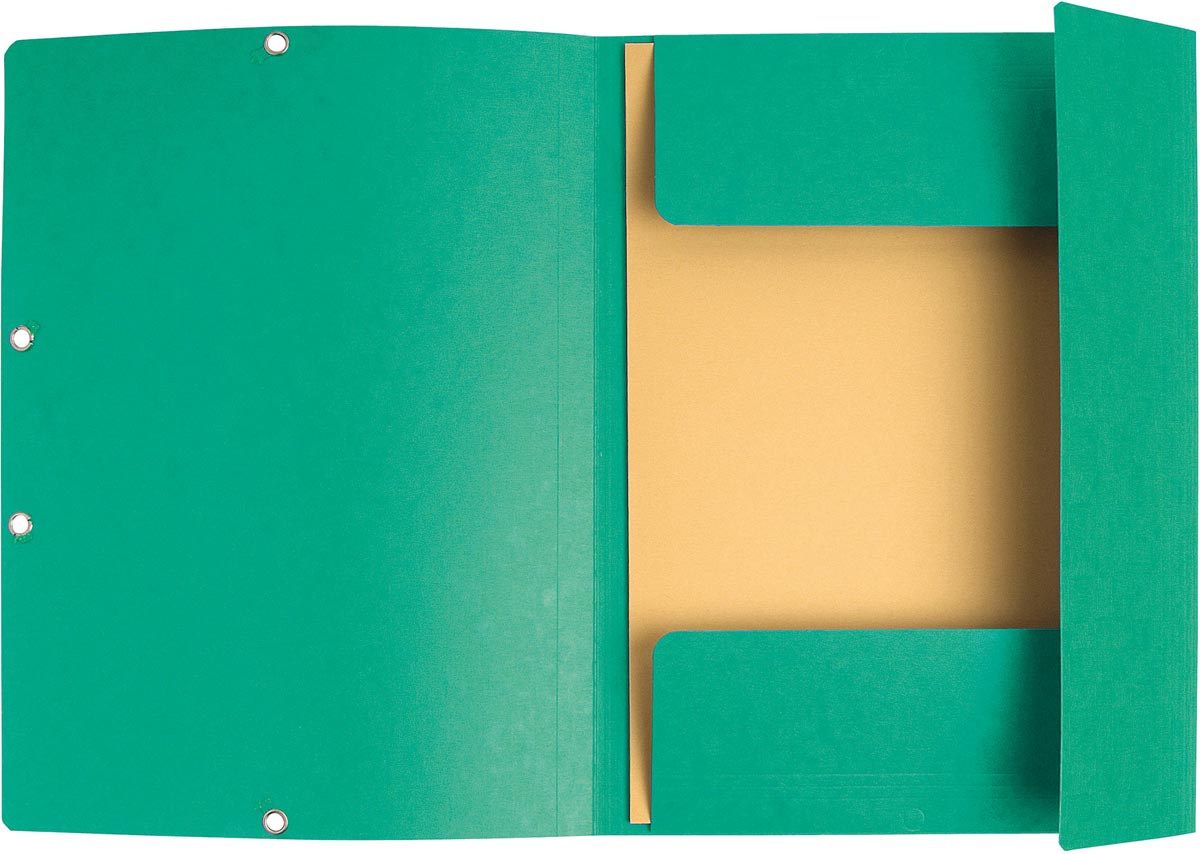 Exacompta elastomap uit karton A4 formaat 3 kleppen elastosluiting set van 3 groen ecologisch