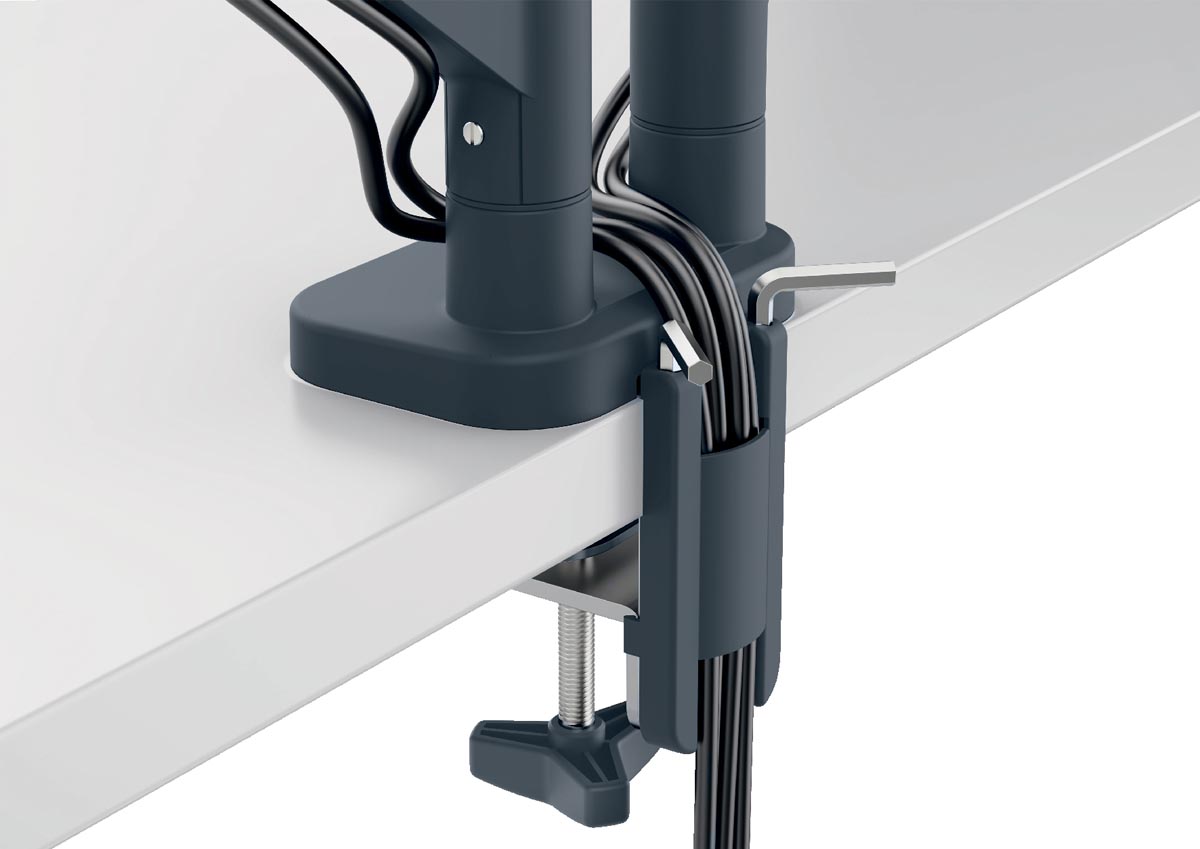 Leitz Ergo ruimtebesparende monitorarm, dubbel, grijs
