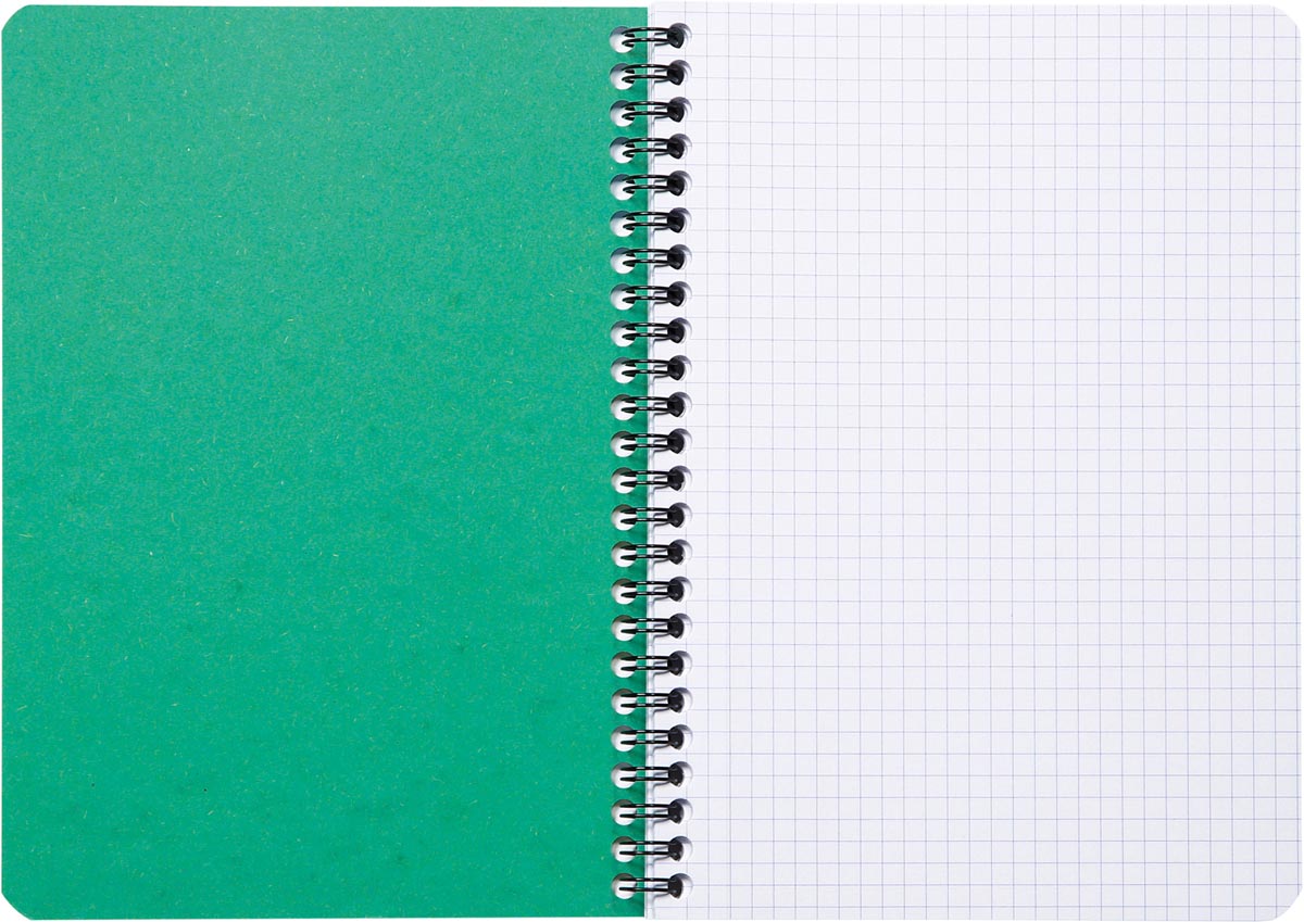 Clairefontaine FOREVER spiraalschrift, gerecycleerd, A5, 90g, 120 blz, geruit 5 mm, geassorteerd
