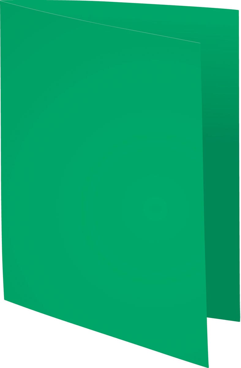 Exacompta Rock's 80 dossiermap A4 dennengroen papier 22 x 31 cm pak van 100
