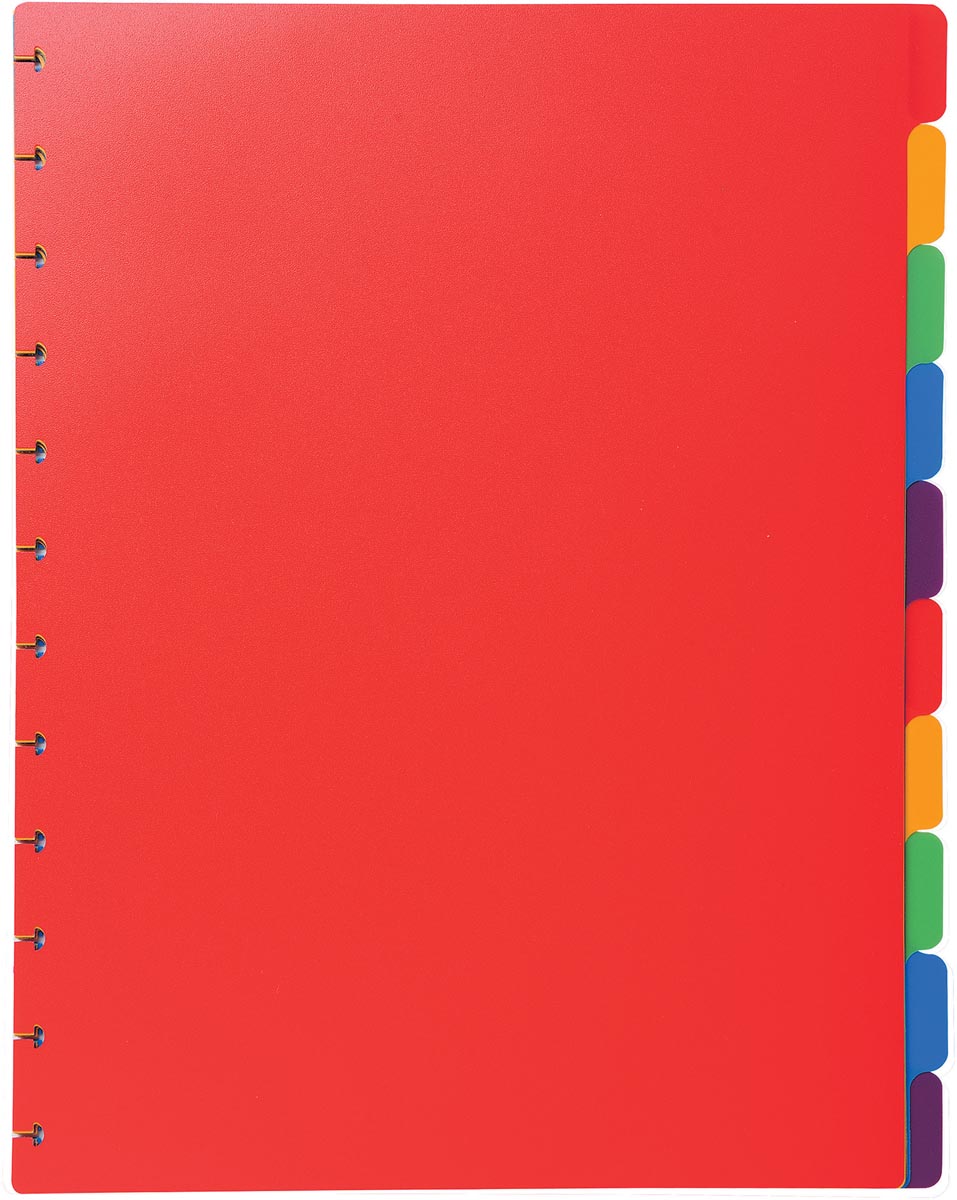 Exacompta uitneembare tabbladen A4 gekleurd PP 10 tabs 250x307 mm