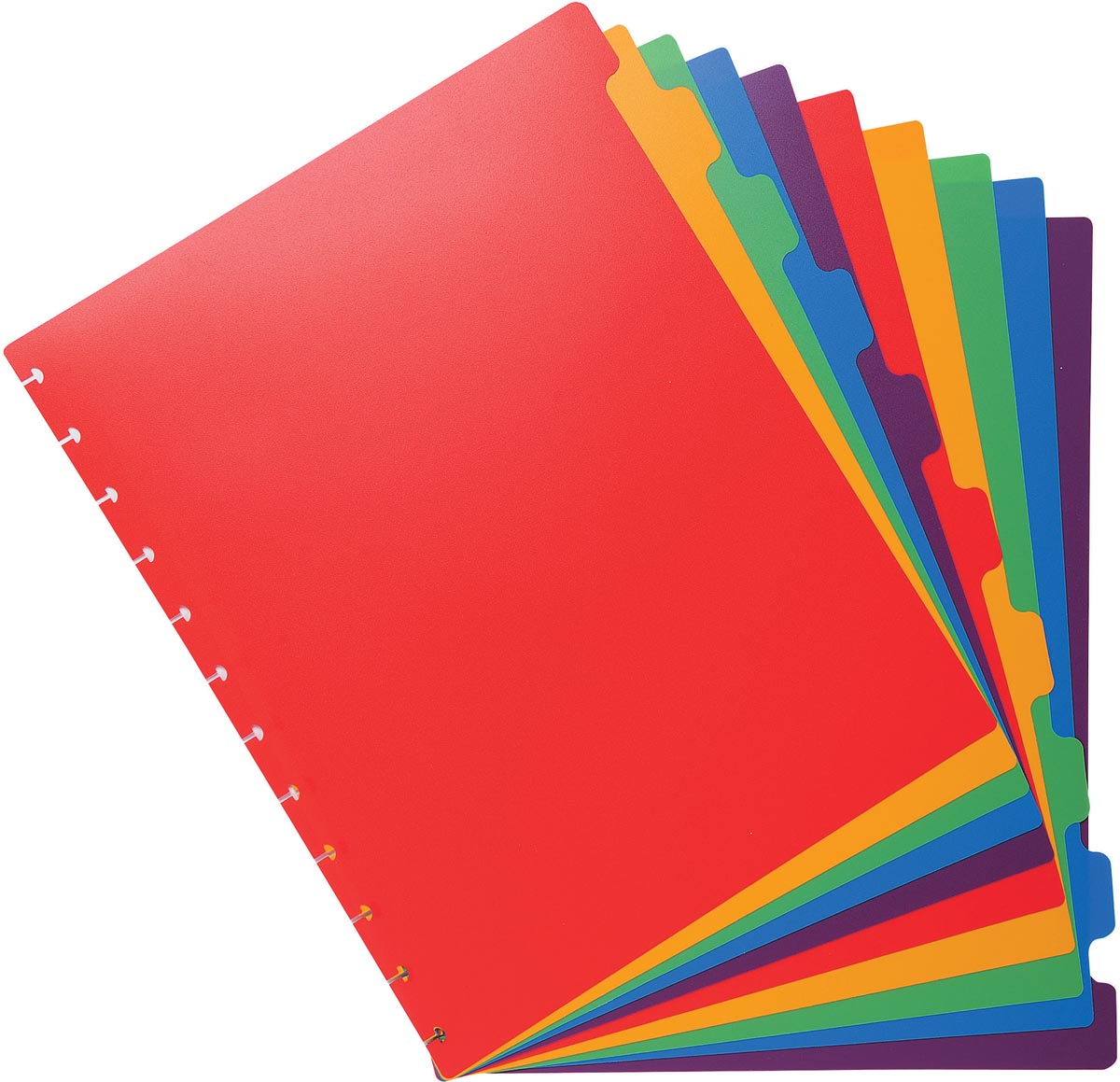 Exacompta uitneembare tabbladen A4 gekleurd PP 10 tabs 250x307 mm