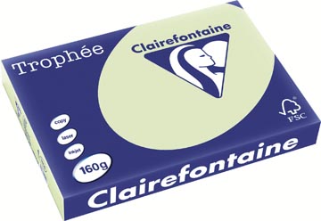 Clairefontaine Trophée Pastel Gekleurd Papier A3 Golfgroen 160 g/m² 250 vel