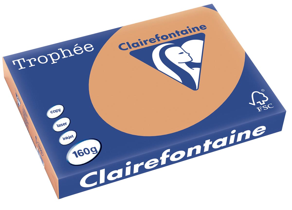 Clairefontaine Trophée Pastel Gekleurd Papier A3 Mokkabruin 160 g/m² 250 vel