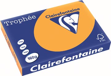 Clairefontaine Trophée Pastel Gekleurd Papier A3 Oranje 160 g/m² 250 Vel FSC Mix