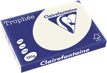 Clairefontaine Trophée Pastel Gekleurd Papier A3 Parelgrijs 120 g/m² 250 Vel